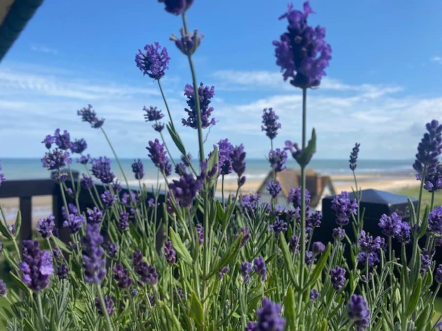 Sur La Plage / Enjoy The Beach Apartment Cabourg Ngoại thất bức ảnh